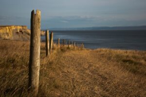 Wooden Posts on a Grassy Field